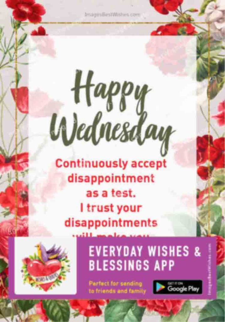 Happy Wednesday Quotes